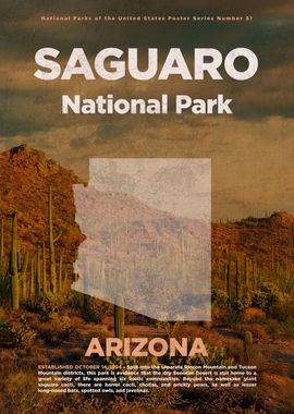 Saguaro National Park Art