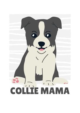 CUTE COLLIE