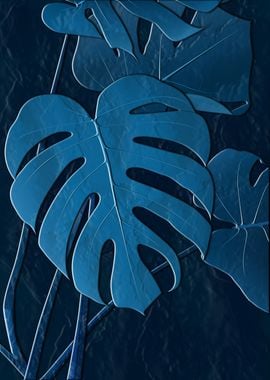 Monstera Leaves 