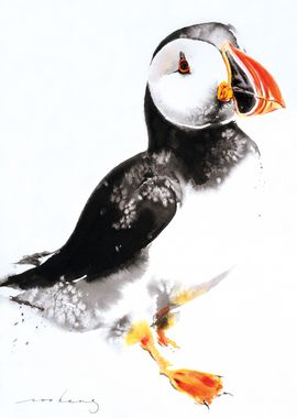 Puffin2