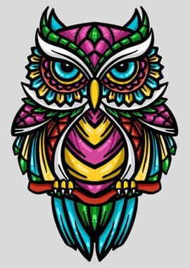 Colorful Owl Bird Animal