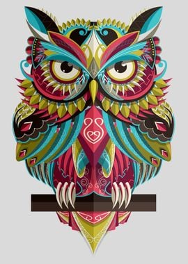 Colorful Owl Bird