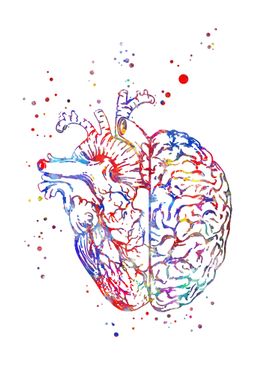 Brain and heart