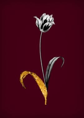 Didiers Tulip on Wine Red