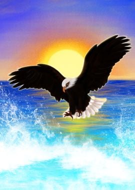 Sea Eagle at the Sunset