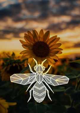 Sunflower wasp at sunset