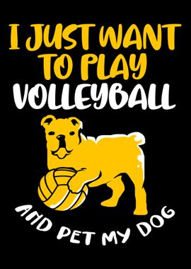 Volleyball Play Pet Dog