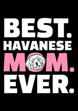 Havanese