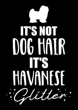 Havanese