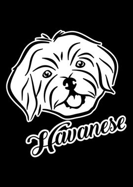 Havanese