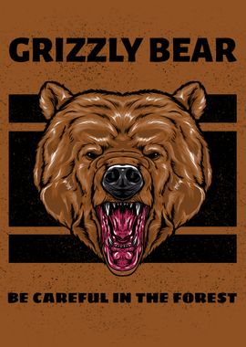 Grizzly Bear Animal Face