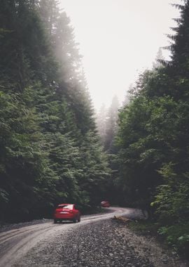 On A Misty Mountain Road