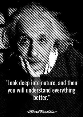 Quotes Albert Einstein