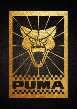 puma racing