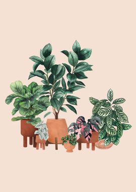 Potted plants 17