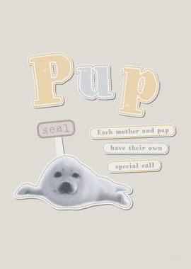 Pup seal