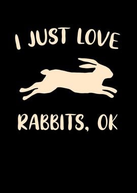 Rabbit Lover Gifts funny