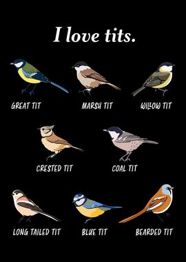 I love tits!  Funny Gift for Birdwatching & Tit bird fan  