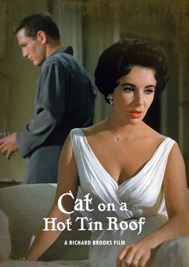 Cat On A Hot Tin Roof