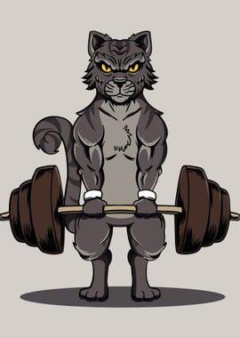 Deadlifting Cat