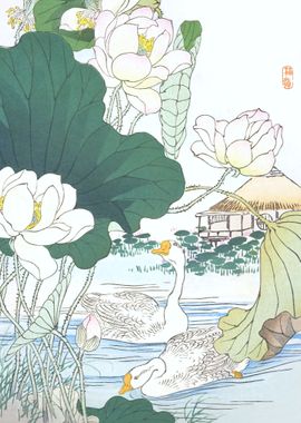 Geese And Lotus Flowers