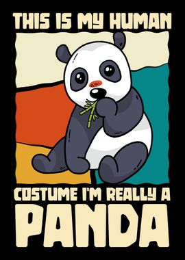 Im really a panda