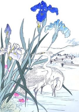 Iris Flowers And Herons