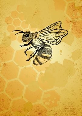 Honey Bee Illustration