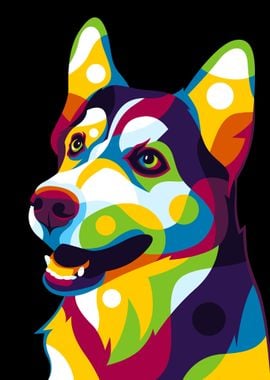 Siberian Husky Pop Art