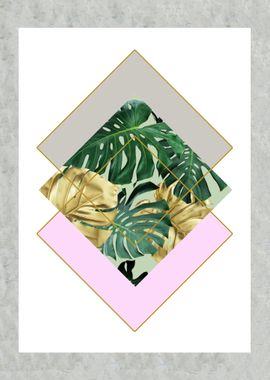 white Monstera leaves  