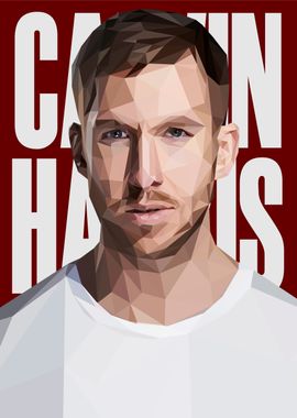 calvin harris popart