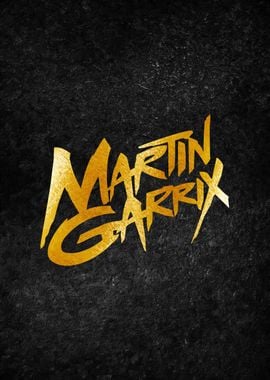 martin garrix