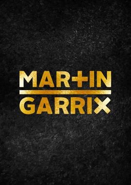 martin garrix