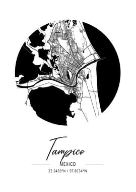 Tampico Area City Map