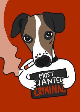 Jack Russell dog criminal