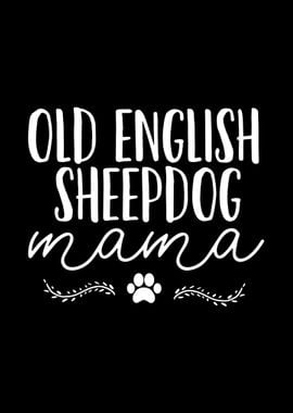 Old English Sheepdog Dog M