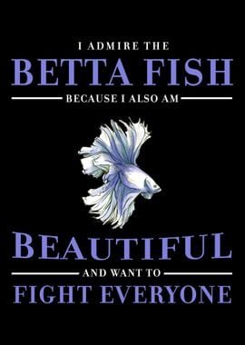 Betta fish Splendens