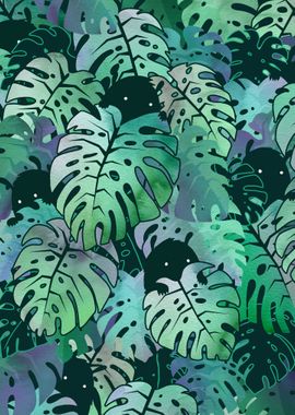 Monstera Monsters