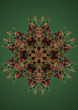 Mandala 38