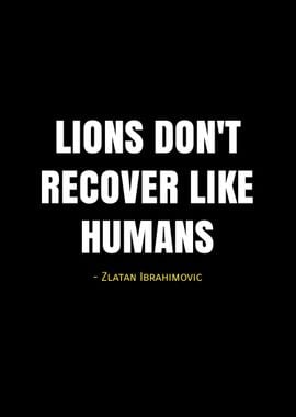 ibrahimovic quotes