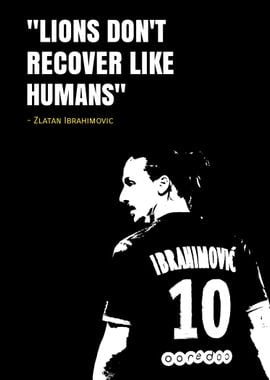 ibrahimovic quotes