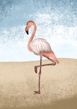 Flamingo