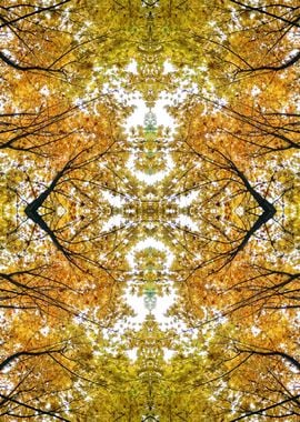 Autumn tree top abstract