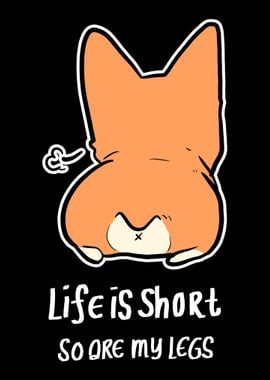 My life as a short person