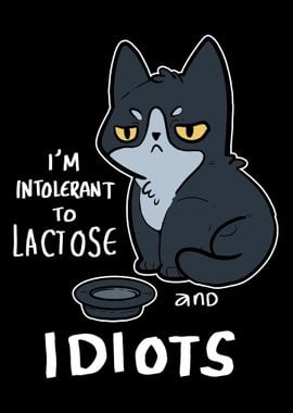 Intolerant Idiots Lactose