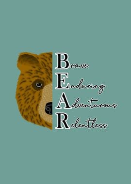 Bear animal traits