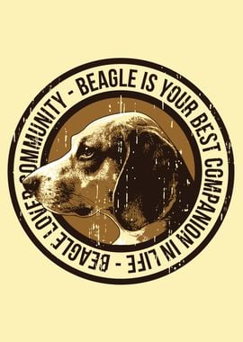 Beagle