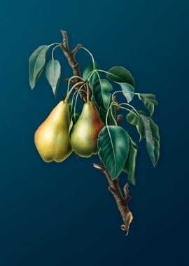 Vintage Lemon Pear Fruits