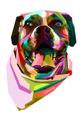 colorful boxer dog head