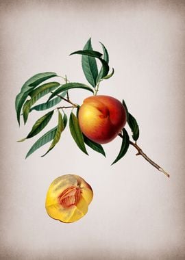 Vintage Peach Fruit Food